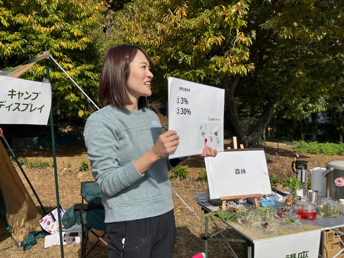 Mini lecture on learning about
forests