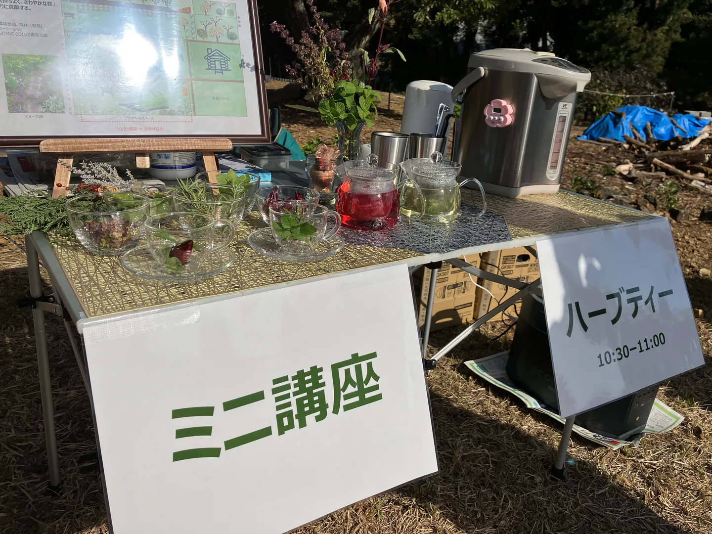 Serving herbal tea